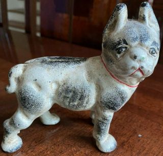 Antique Cast Iron Collectible Metal 4.  5 " Tall Dog Bank