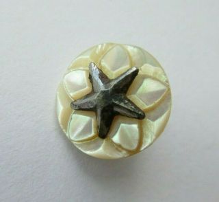 Gorgeous Small Antique Carved White Mop Shell Button Cut Steel Star 1/2 " (k)