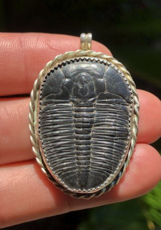 Rare Old Pawn Navajo Native American Sterling Silver & Trilobites Fossil Pendant