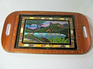 Vintage Butterfly Wing Tray Palm Trees Mountains Rio De Janeiro Inlaid Edges