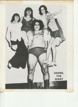 Andre The Giant Wrestling Photo Rare 8 X 10 Early 1970 