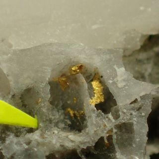 Gold Aggregates On Quartz Rare Locality Jilove,  Czech Republic