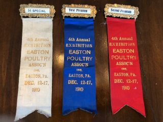Trio Of 1910 Easton (pa) Poultry Association Prize Ribbons - - Very Rare
