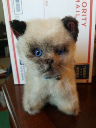 Vintage Real Soft Toys England Plush Cat Watford London Stuffed Animal Kitten