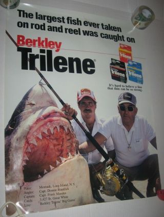 Rare Vintage 1986 Promo Poster Berkley Trilene Braddick Mundus Great White Shark