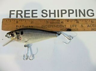 Bagley Diving Small Fry Shad Fishing Lure Crankbait Color And