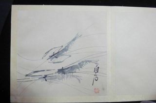 Large Old Chinese Hand Painting Vivid Shrimps Album Book " Qibaishi " Marks