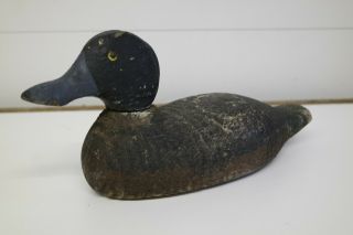 Antique Victor Blue Bill Wood Duck Decoy With Glass Eyes,  Animal Trap Company