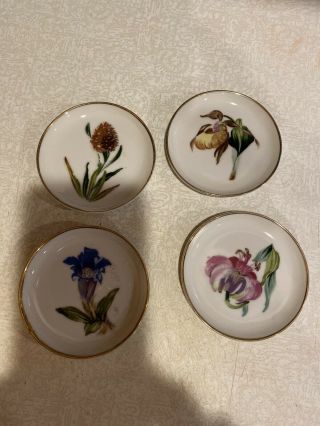 Vintage - Antique Bone China - Small Hand Painted Plates With Flowers