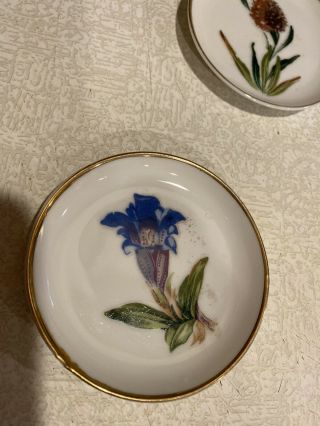 Vintage - Antique Bone China - Small Hand Painted Plates With Flowers 2