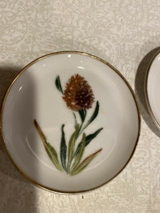 Vintage - Antique Bone China - Small Hand Painted Plates With Flowers 3