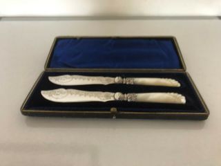 Cased Mother Of Pearl And Silver Plated Preserve Spreaders (mop Uy8