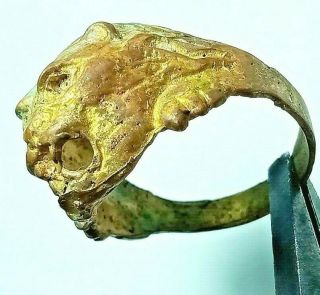 Rare Extremely Ancient Bronze Lion Head Ring Viking Artifact Bronze Authentic