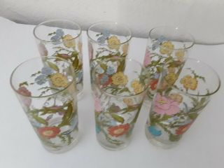 Vintage (6) Beverage Tea Glasses Dorothy Thorpe Wildflowers/floral Harves Rare