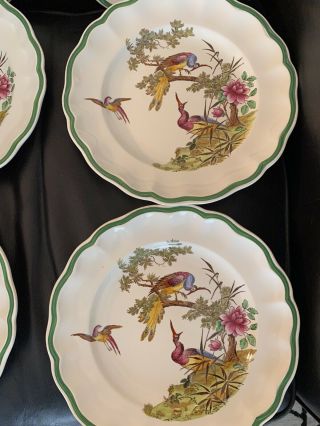 Spode Dinner Plates Set of 6 Peacock Bird Flowers Antique Copeland 739640 RARE 2