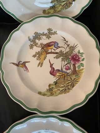 Spode Dinner Plates Set of 6 Peacock Bird Flowers Antique Copeland 739640 RARE 3