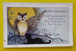 Antique Happy Halloween Owl Black Cat Moon Whitney Postcard