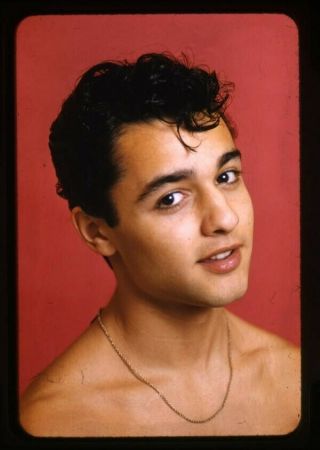 Sal Mineo Hunky Teen Idol Barechested Pin Up 35mm Transparency Rare
