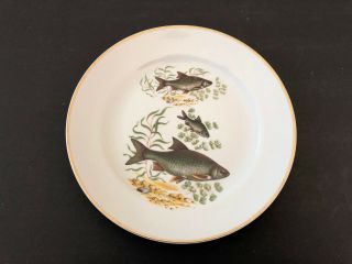 Rare Design Naaman Israel,  Naa2 Fish Center - Dinner / Luncheon Plate