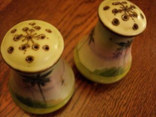 Antique Hand Painted Nippon Moriage Cork Bottom Footed Salt & Pepper 1910 Era