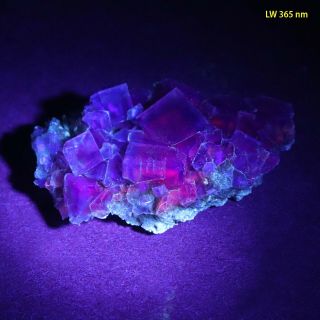 Bb: Rare Fluorite W/ Red Fluorescence From Berbes,  Spain - Classic