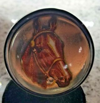 Antique Glass Dome & Brass Horse Bridle Rosette Button Pin W/ Horse