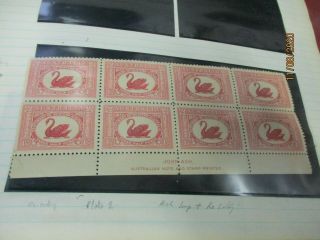 Pre Decimal Stamps: Swan Block Of 8 Rare - (i10)