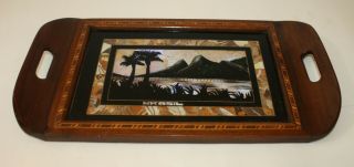 Vintage Reverse Painted Butterfly Wings Marquetry Wood Tray Palm Trees Brasil