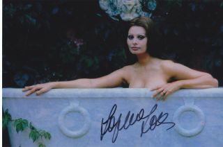 Sophia Loren Movie Legend Very Rare Sexy Signed Photo