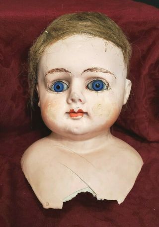 Large Antique German Papier - Mache " Patent Washable " Doll Head Gorgeous Blue Eyes