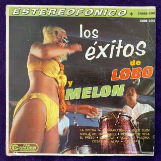 Lobo Y Melon Los Exitos De Lp Mexico Rca Latin Salsa Guaguanco Rare Record