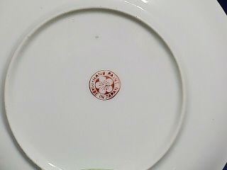 Antique Fine Bone China Cup and Saucer Pre - WWII 2