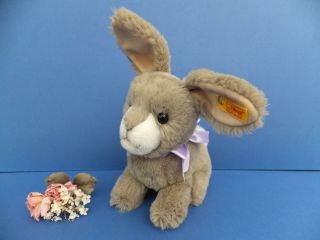 Rare Vintage German Steiff Dormy Toy Rabbit Gold Ear Button & Tag Id No.  080173