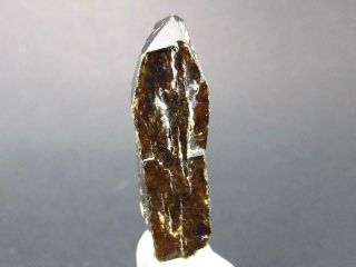 Large Very Rare Xenotime Y Crystal From Brazil - 1.  2 " - 43.  8 Carats