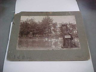 Civil War Antique Shiloh Nat Park Photo Of Bloody Pond,  Civil War,  Historical