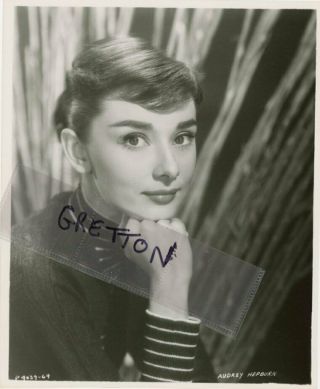 Gorgeous Audrey Hepburn Studio Portrait Rare Photo 3