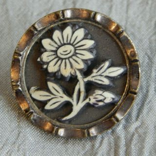 Antique Ivoroid Button Celluloid Flower Aprx:7/8 " 805 - C