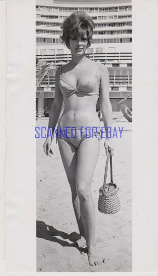 Jill St.  John Rare Tony Rome Bikini Publicity Photo With Studio Snipe Sheet 1967