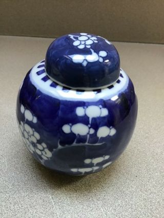 Antique Chinese Kangxi Blue & White Porcelain Cherry Blossom Ginger Jar Vase