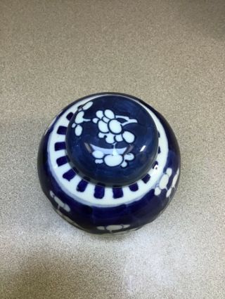 Antique Chinese Kangxi Blue & White Porcelain Cherry Blossom Ginger Jar vase 3