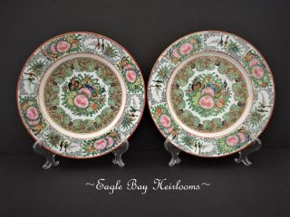 Chinese Export Famille Rose Medallion Enameled Porcelain Dinner Plates Set/2