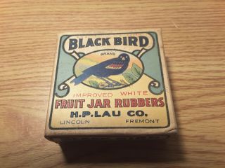 Rare Vintage Box Of  Black Bird  Fruit Jar Rubbers From The H.  P.  Lau Co.