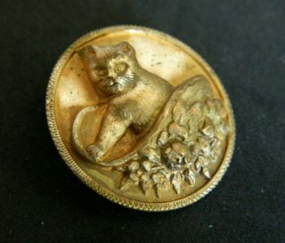 Antique/vtg " / Kitten In A Bonnet " Brass Button High Relief