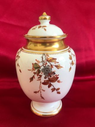 Rare Antique 18thc Porcelain Royal Crown Derby Gold Vine With Flowers Urn