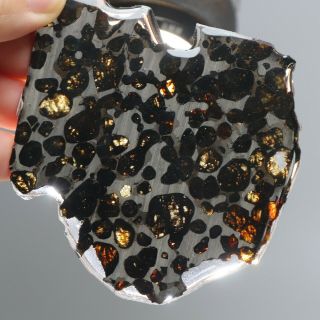 40g Rare Slices Of Kenyan Pallasite Meteorite Olive R2975