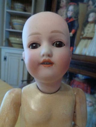 Antique Bisque Head German Doll Marked Nippon Replaced Seeley Body 15 