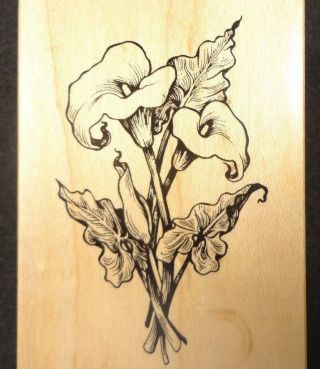 Psx Calle Lillies [2.  75x2] Botanical Floral Peace F1018 Rubber Stamp Rare