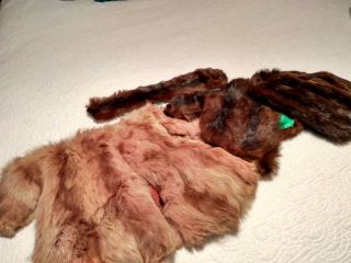 Vintage Terri Lee Real Fur Coats And Stole 16 " Doll Clothes 1950 