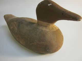 Finish Carving This Wood Duck Decoy Add The Finishing Touches 12 Inches