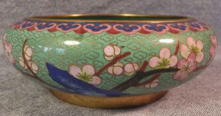Fine Vintage Chinese Cloisonne Prunus Bowl W Blue Bird 15cm